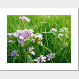 spring flowers meadow Posters and Art